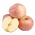 Import Sweet Red High Water Content Fruit Fresh Fruit Fuji Apple for Wholesale from China