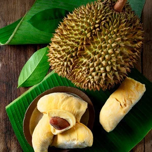 Thailand Fruit Premium Grade Frozen Whole Monthong King Durian