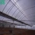 Import The Cheapest Agricultural Plastic Greenhouse Film from China