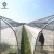 Import The cheapest mini single-span poly tunnel agriculture green house tunnel plastic film tomato greenhouse construction from China