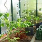tomato support iron wire