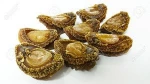 Top Quality Dried Abalone / With &amp; Without Shell.