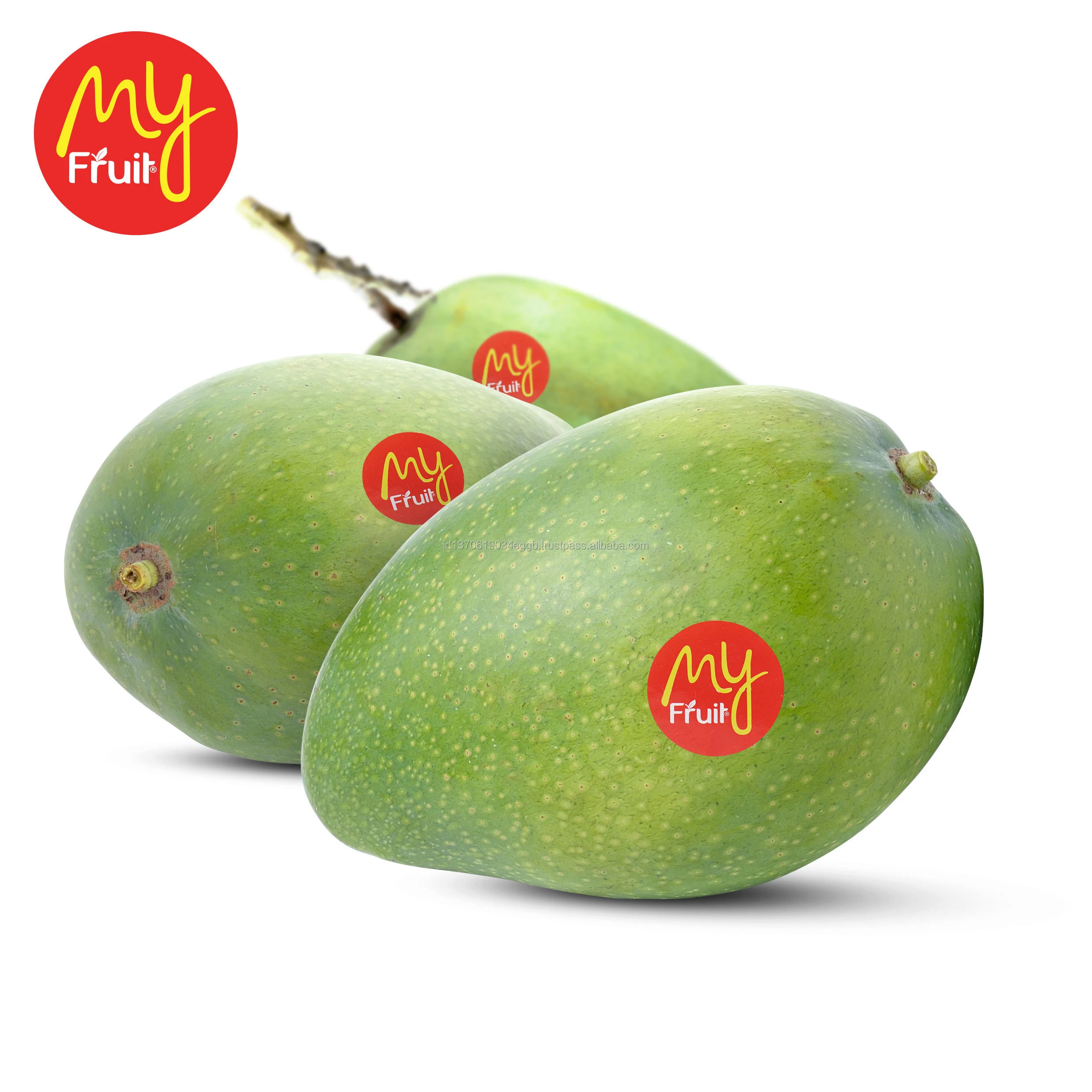 Top Quality Fresh Mango Delicious Sweet For The Best Price