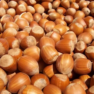 Top Quality Hazelnuts For Sale