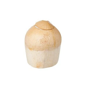Top quality organic fresh young coconut