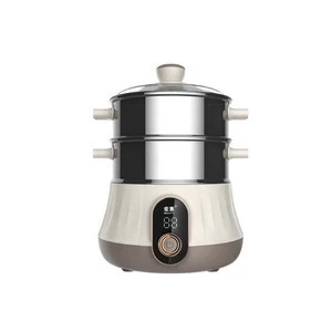 Two Layers Stainless Steel 304 Multi-functional Electric Food Steamer For Household