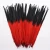 Import Two Tone Color Pheasant Feathers from China