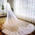 Import V213 One Layer Soft Bridal Illusion Tulle Cathedral Veil with Alencon Lace Bride Wedding Veils from China