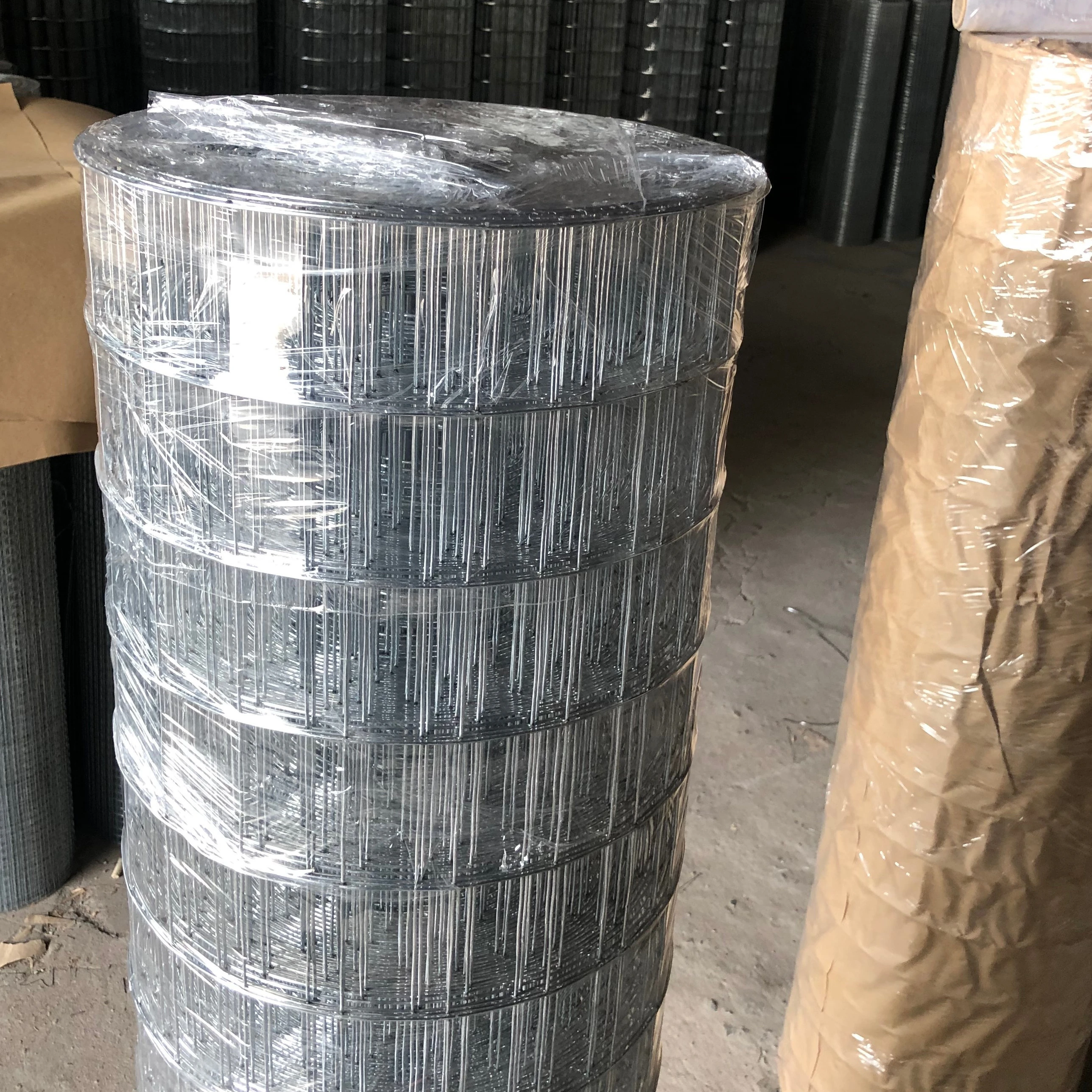 Welded Wire Mesh/Welded wire netting/electric galvanized mesh