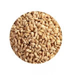Wholesale  barley grain agricultural crop in containers and grain wagons