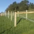 Import Wholesale Cheap Sale  Farm Fence Panel Farmgard 4 ft. x 330 ft. Field Fence from China