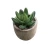Import wholesale custom home decor indoor artificial succulent plant simulation succulents potted plants from China