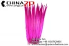Wholesale Fashion Colorful Hot Pink 20-22 Inch Long Feather Ringneck Pheasant for Sale
