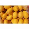 Wholesale Fresh Mango India / Alphonso Mango Fruit / Mango Pulp