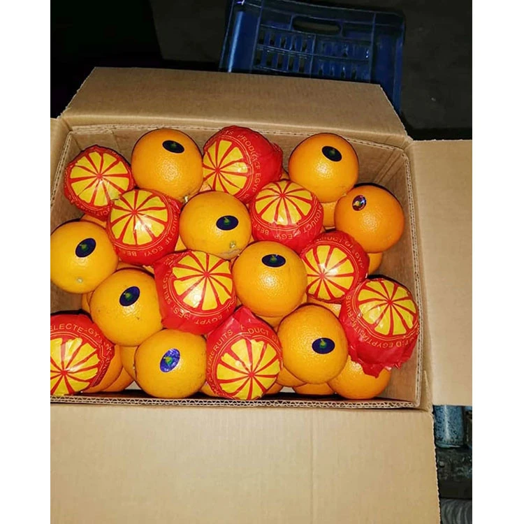Wholesale New Harvest Fresh Citrus Sweet Navel Oranges
