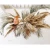 Import Wholesale Preserved Dried Pampas Grass natural decorative pampas grass Eternal Lasting Long dried flowers from China