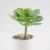 Import Wholesale Simulation Lifelike Real Touch Various Succulent Plants Artificial Soft Plastic Succulents from China