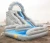 Import Wild Rapids Slide Giant Commercial Inflatable Water Slide with Pool from China