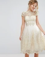 Woman Metallic Lace Midi Prom Evening Dress In Short Sleeve