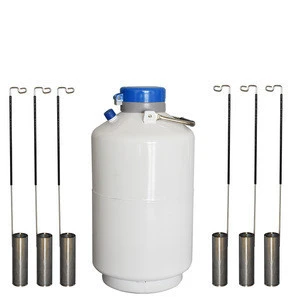 YDS-10 Liquid Nitrogen Gas Cylinder Sizes 10l Dewar Vacuum Flask Tank