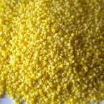 Yellow broom corn millet/grains/millets