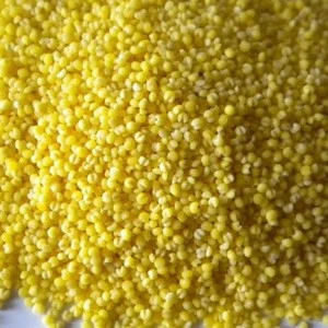 Yellow broom corn millet/grains/millets
