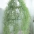 Import ZERO Wholesale Greenery Air Grass Artificial Hanging Grass Wall Artificial Wall Hanging Plant for Home Garden Decoration from China