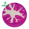 zoology prepared slides, 2-cell stage of egg of Sea urchin W.M.