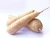 Import FRESH CASSAVA HIGH QUALITY AND BEST PRICES from South Africa