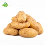 New export of Chinese Dutch potatoes