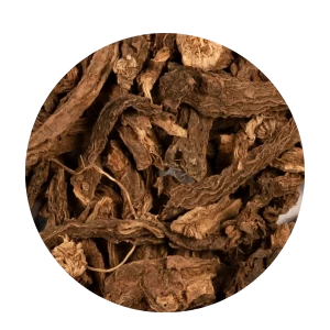 Dry Coleus Roots (Coleus scutellarioides)