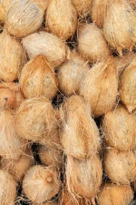 Semi Husked Coconut — Fresh, Mature, Grade A/B/C, Indonesia Bulk Exporter