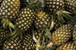Natural fresh Pineapple