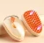 Import Pet Massage Comb from China