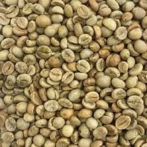100% Arabica Coffee Beans – Green & Roasted | Bulk Wholesale | Export Quality