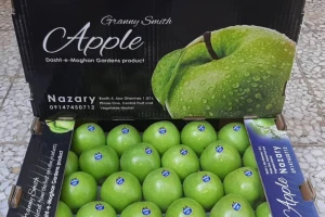 Green Apple(granny smith)
