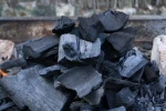Hardwood and softwood charcoal