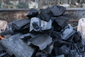 Hardwood and softwood charcoal