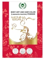 Organic Henna Body Art & Hai Color