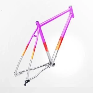 Titanium Gravel Bike Frame(Purple)