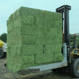 Alfalfa Hay/Animal Feed