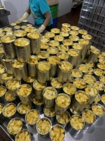 Canned Pineapple 30oz