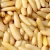 Import Raw Pine Nuts from South Africa