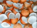 Edible Copra