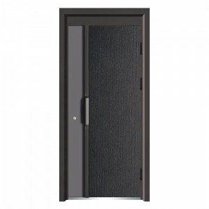 Guangdong stainless steel doors and windows stainless steel kitchen doors security doors exterior steel