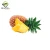 Import Safqa Fresh and Organic Pineapple 16 Kg from Ethiopia