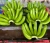 Import Top Quality Fresh Green Cavendish Banana in wholesale Export Price from Belgium