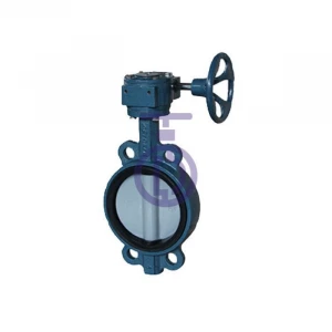 butterfly Valve with Painting CBF02-TA07