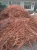 Import Red Mill-berry Copper /Copper Scrap Wire Top Quality 99.95%-99.99%/ Scrap Copper Wire with Wholesale Price from United Kingdom