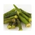Import Organic Dried Okra For Bulk Sale Healthy Natural Dried Okra Packed Full Of Vitamins And Minerals For Food Industry from South Africa